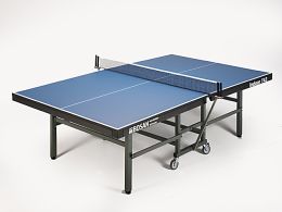 TAFELTENNISNETPOSTCOMBINATIE "BOSAN VAST"