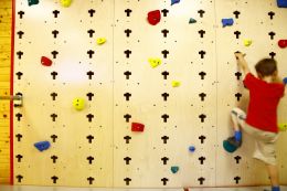 SET KLIMGREPENSCHOOL&TEAM/FITNESS&SPORT (15 STUKS)