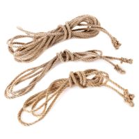 SPRINGTOUW, 2½ MTR, HENNEP