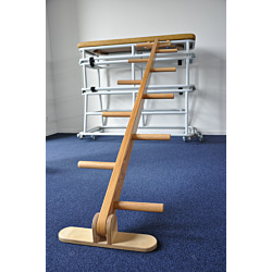 Categorie Junior gymnastiek image